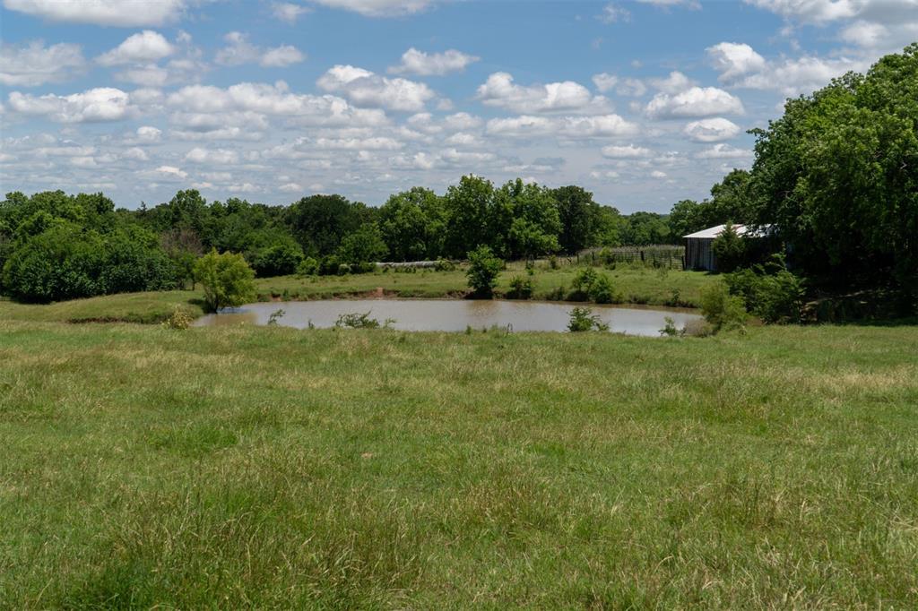 248 Shaffer Road Property Photo 23