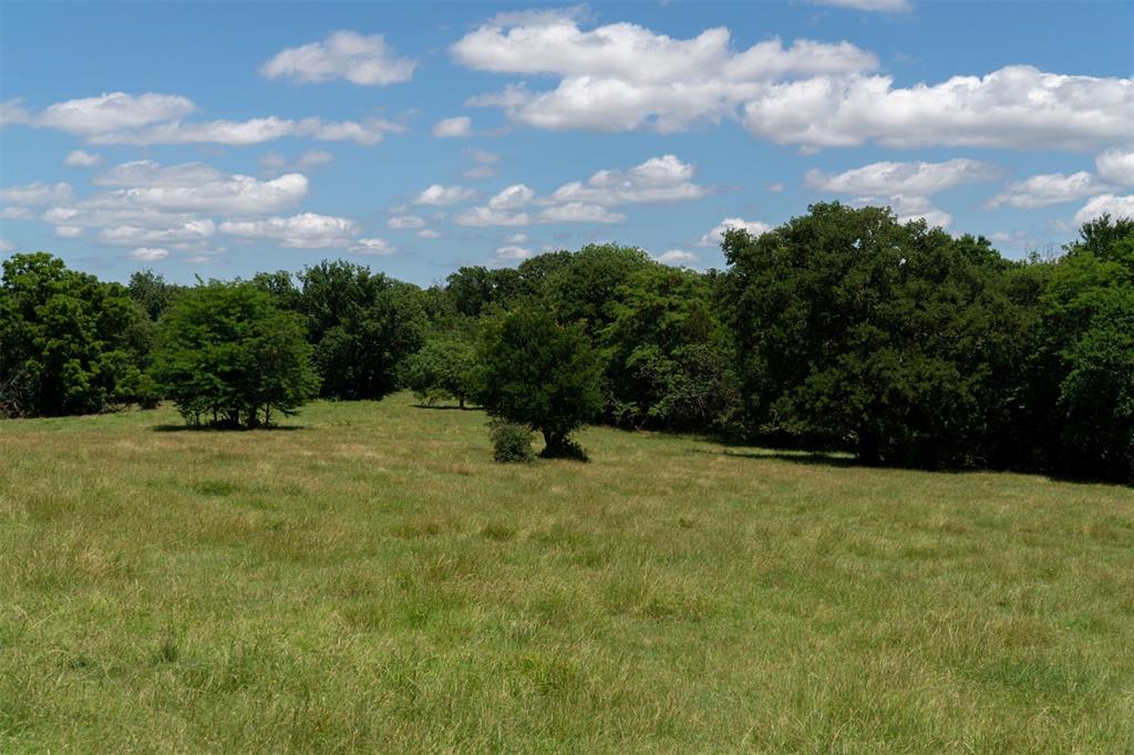 248 Shaffer Road Property Photo 26