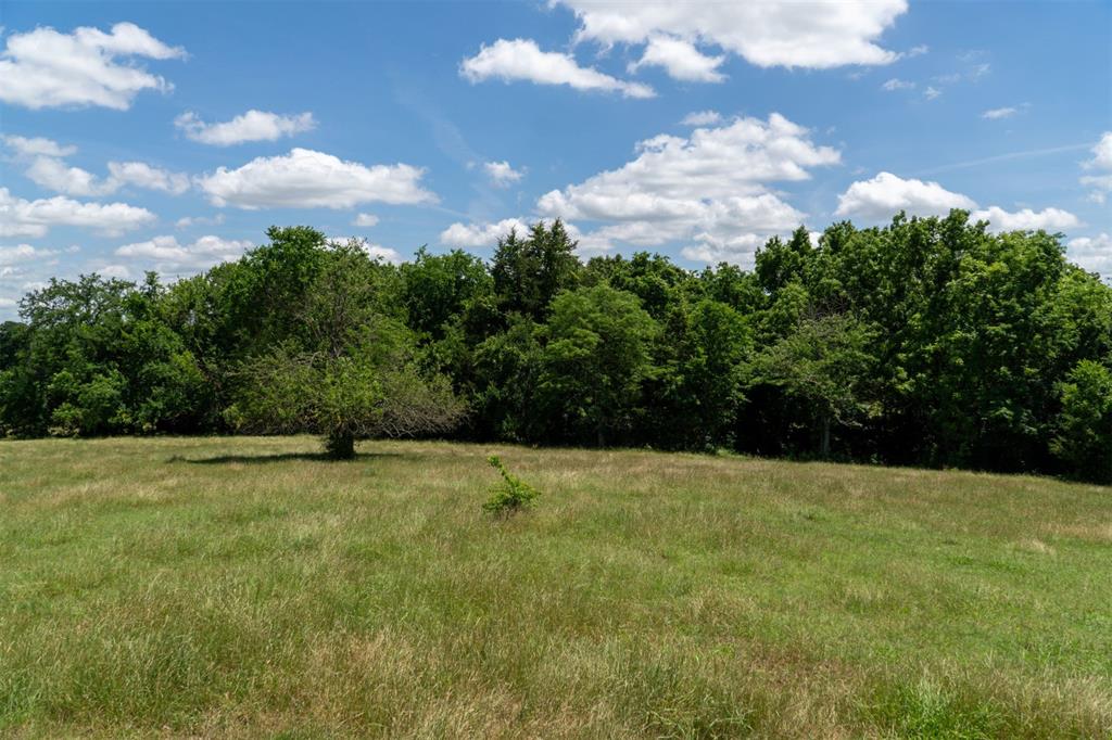 248 Shaffer Road Property Photo 28