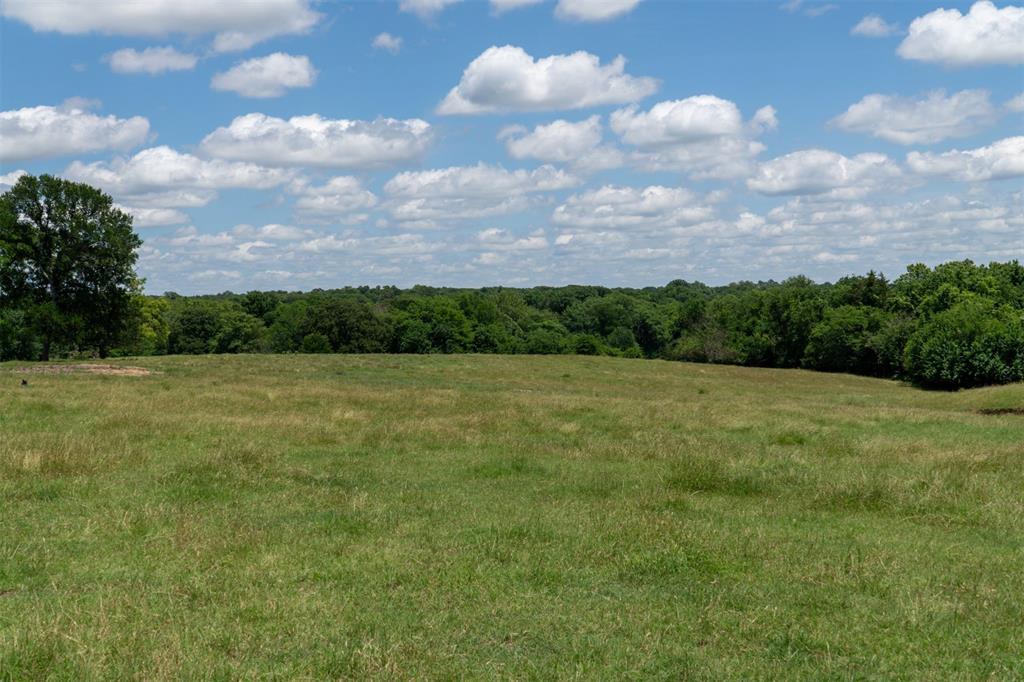 248 Shaffer Road Property Photo 35