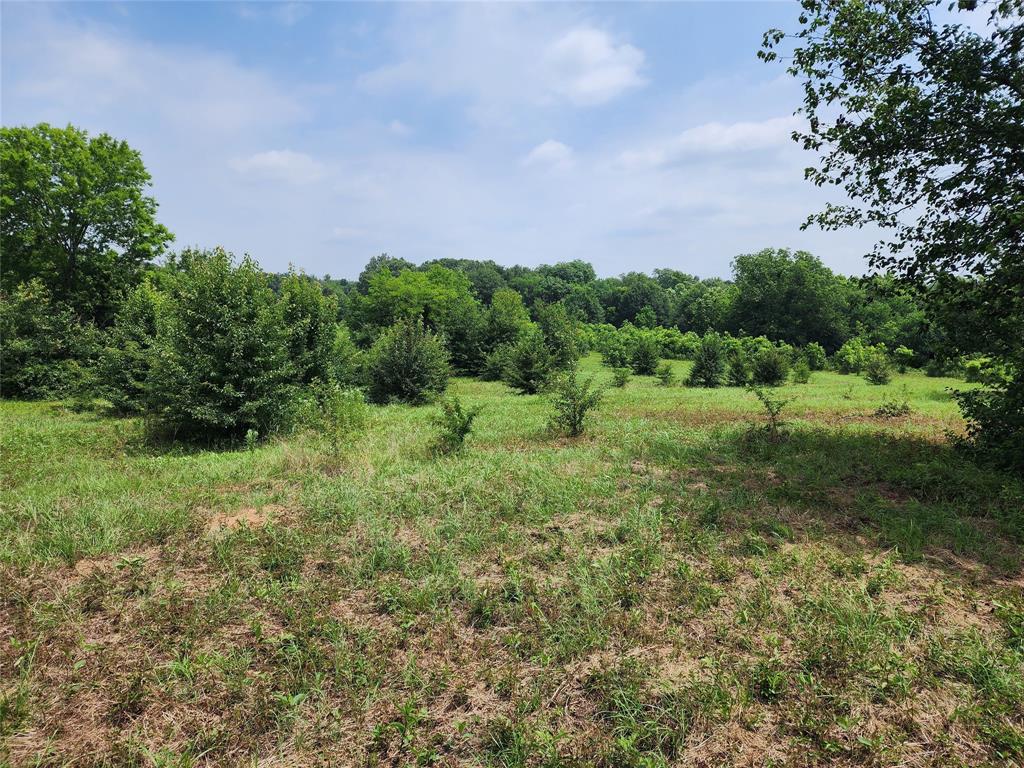 0001 S Hwy 69 Property Photo 10