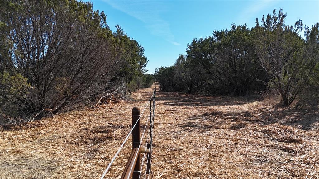 Tbd County Road 156 Property Photo 31