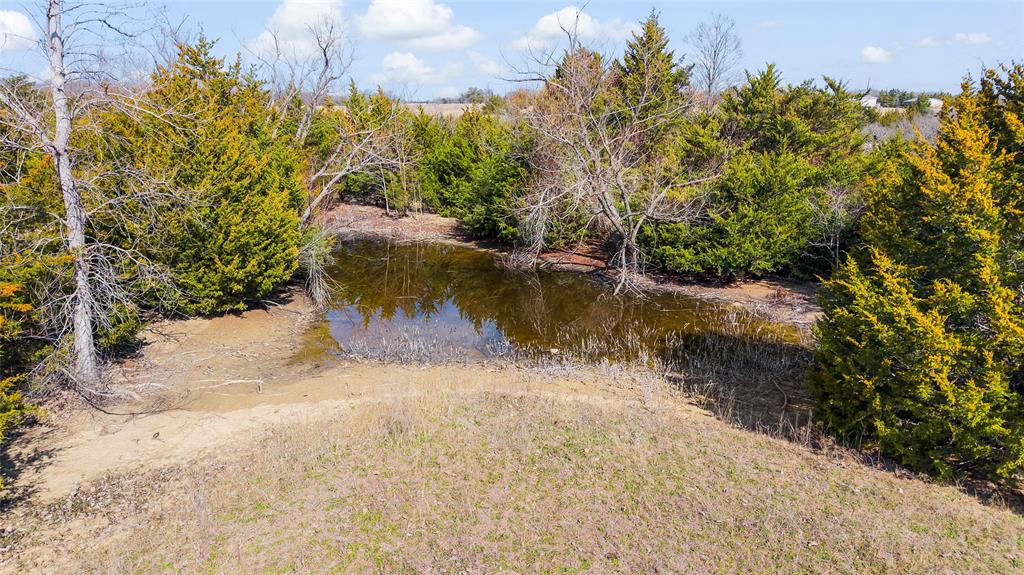 11016 State Highway 78 Property Photo 4