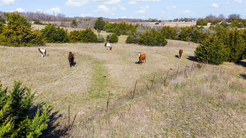 11016 State Highway 78 Property Photo 12