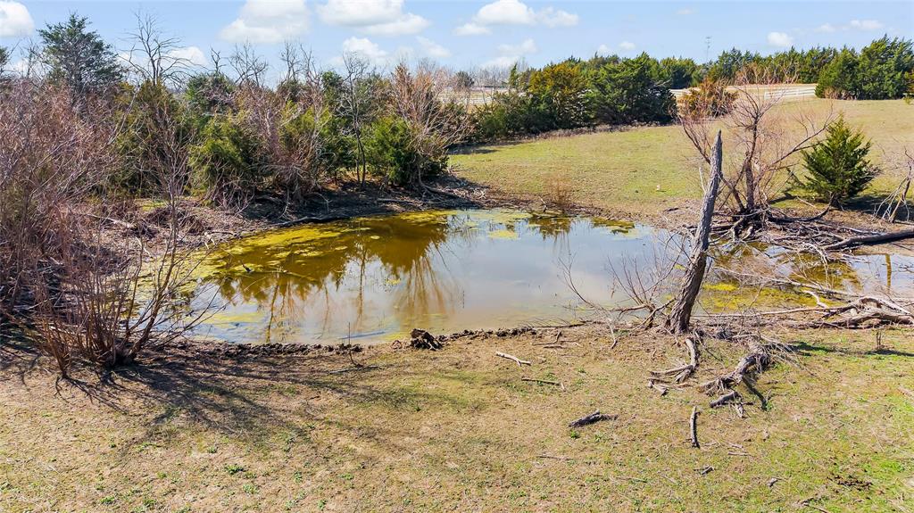 11016 State Highway 78 Property Photo 13