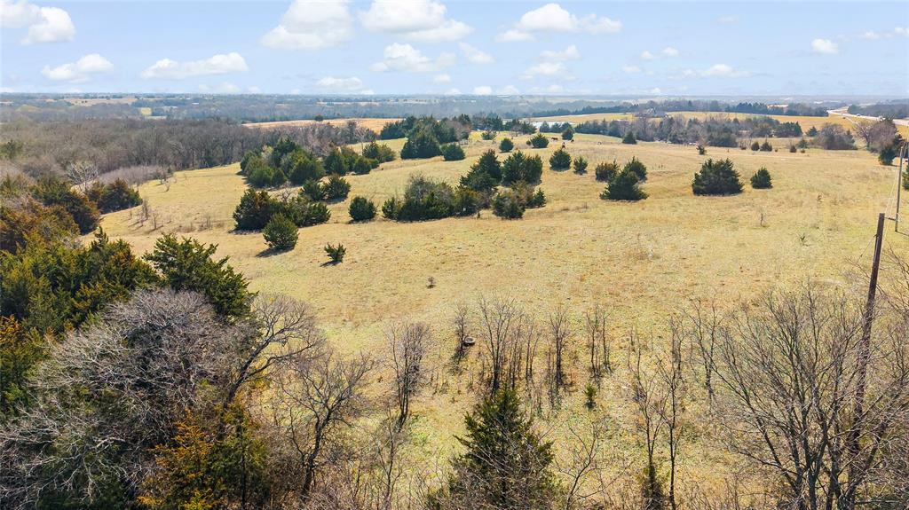 11016 State Highway 78 Property Photo 19