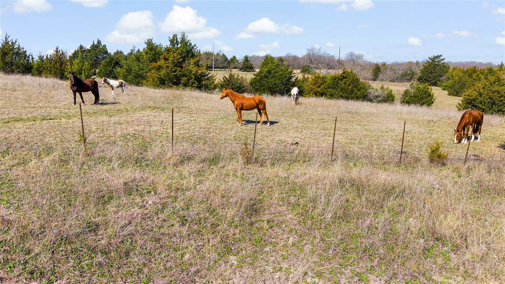 11016 State Highway 78 Property Photo 27