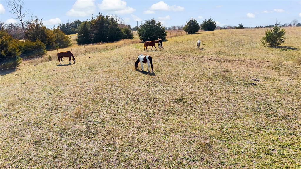 11016 State Highway 78 Property Photo 28
