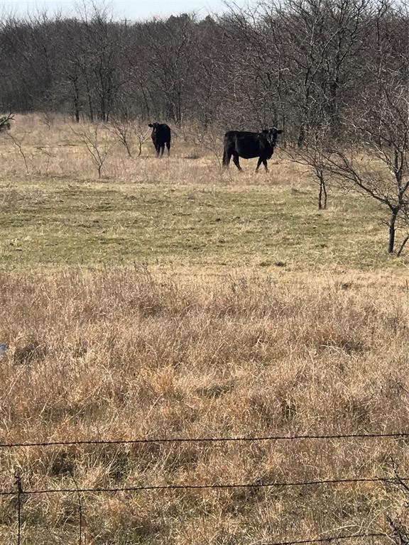 Tbd 13.846 Acres Winn Road Property Photo 2