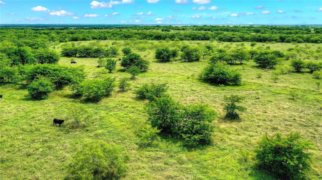 Tbd 13.846 Acres Winn Road Property Photo 16