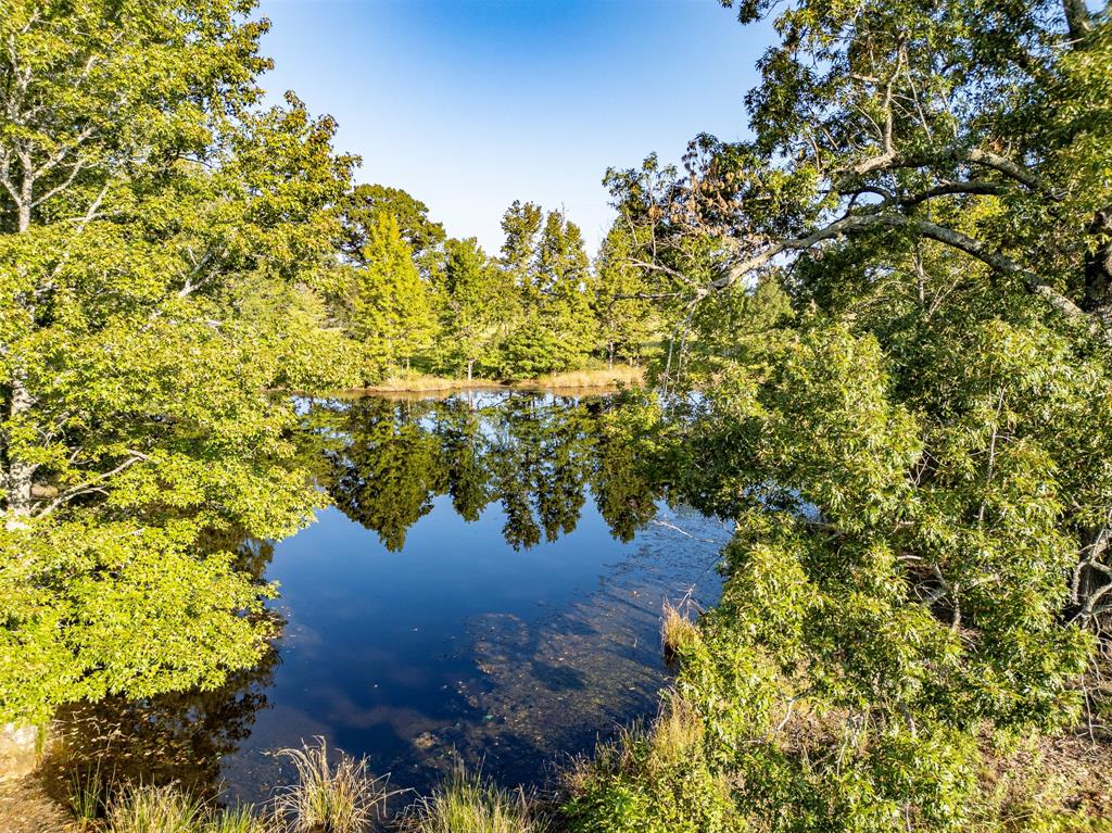 21574 Riva Ridge Property Photo 17