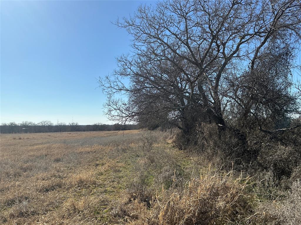Tbd County Road 152 Property Photo 1