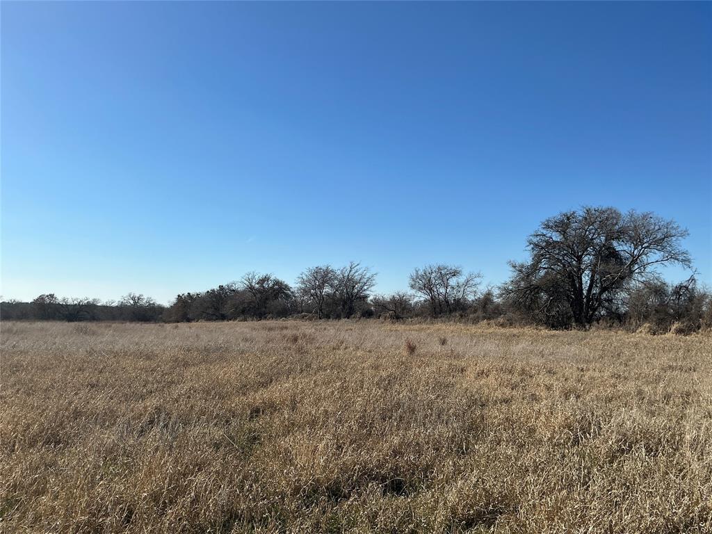 Tbd County Road 152 Property Photo 6