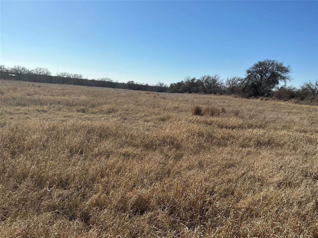 Tbd County Road 152 Property Photo 7