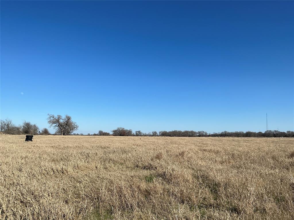 Tbd County Road 152 Property Photo 9