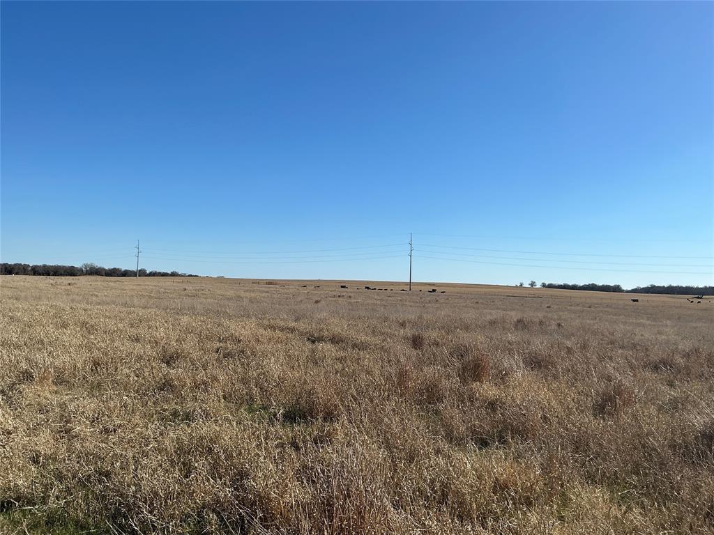 Tbd County Road 152 Property Photo 11