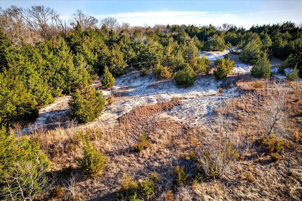 Tbd Fm 455 Property Photo 5