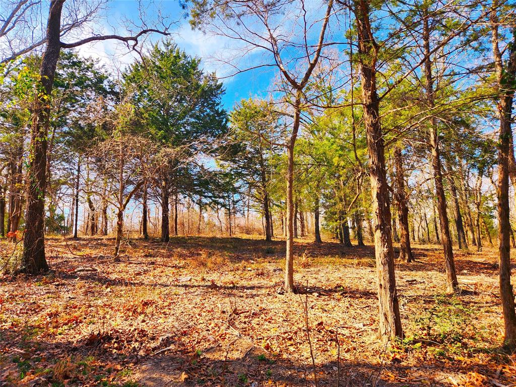 Lot 463 Us-175 Property Photo 6
