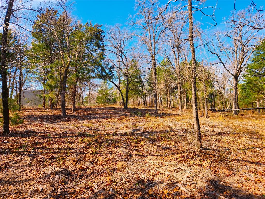 Lot 463 Us-175 Property Photo 10
