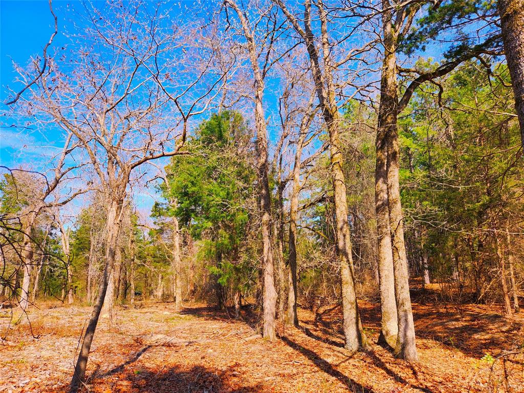 Lot 463 Us-175 Property Photo 11