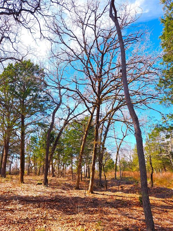 Lot 463 Us-175 Property Photo 13