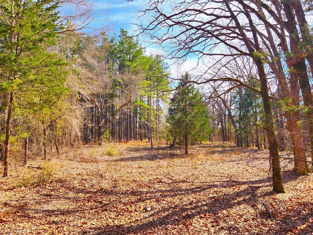 Lot 463 Us-175 Property Photo 14