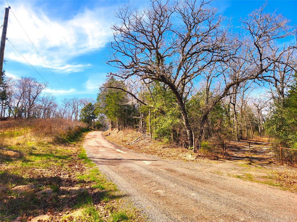 Lot 463 Us-175 Property Photo 15
