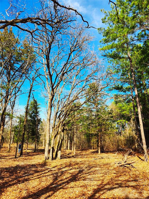 Lot 463 Us-175 Property Photo 17