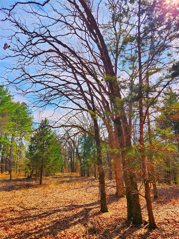 Lot 463 Us-175 Property Photo 19