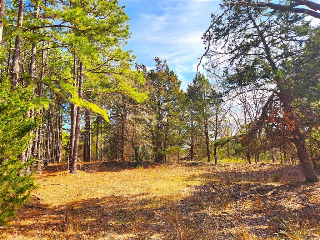 Lot 463 Us-175 Property Photo 25