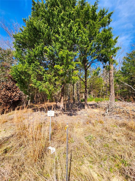 Lot 463 Us-175 Property Photo 27
