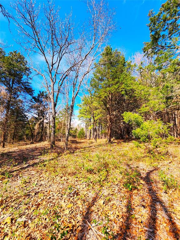 Lot 463 Us-175 Property Photo 33