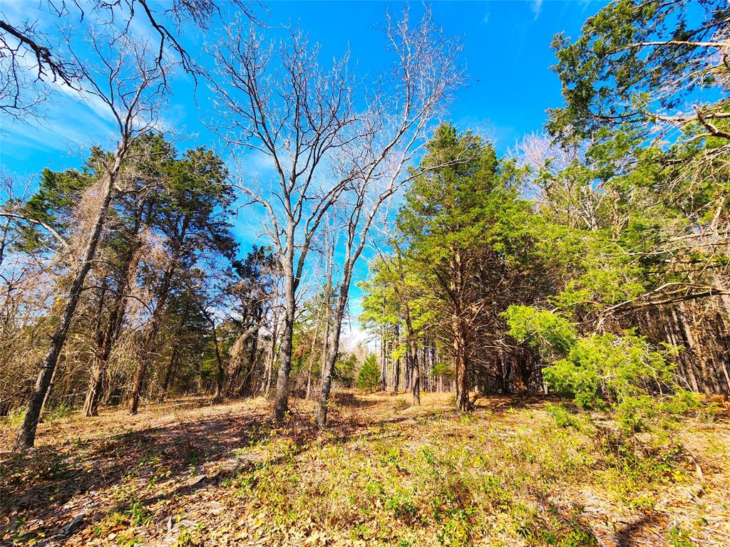 Lot 463 Us-175 Property Photo 34