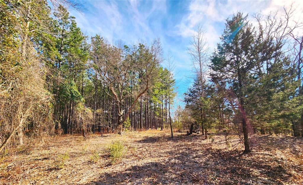 Lot 463 Us-175 Property Photo 37