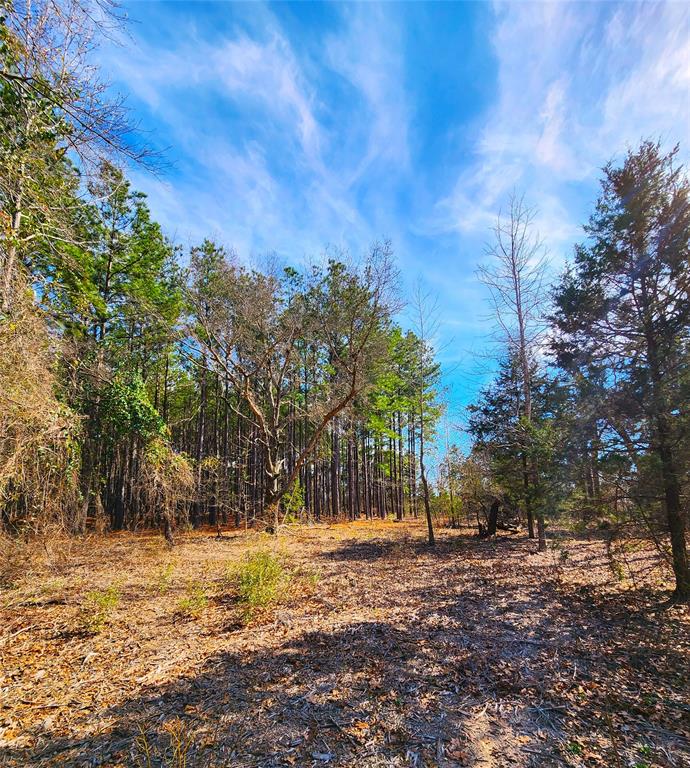 Lot 463 Us-175 Property Photo 38