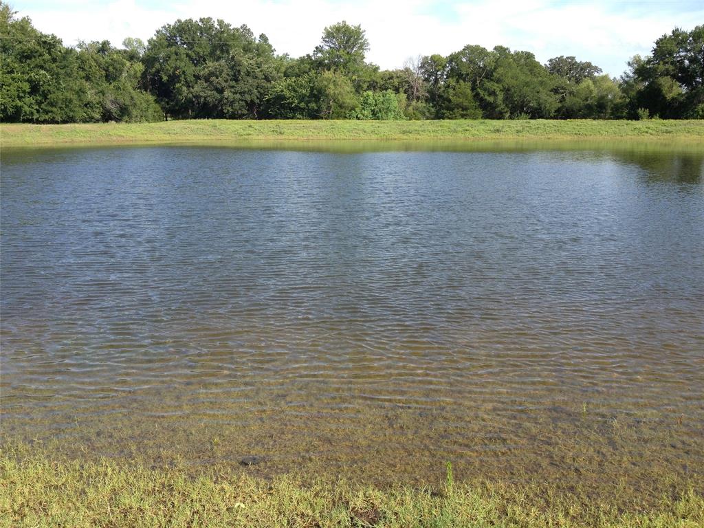 800 County Road 426 Property Photo 31
