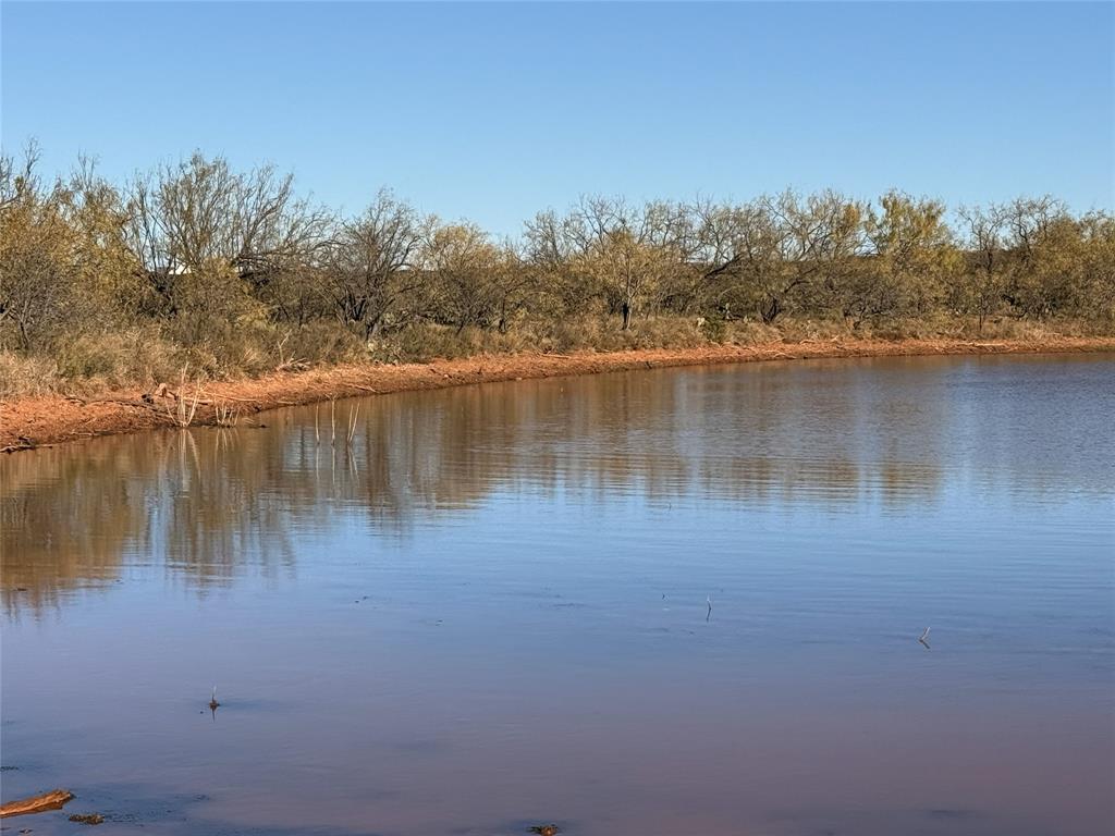 5725 Tbd Fm 604 Property Photo 10