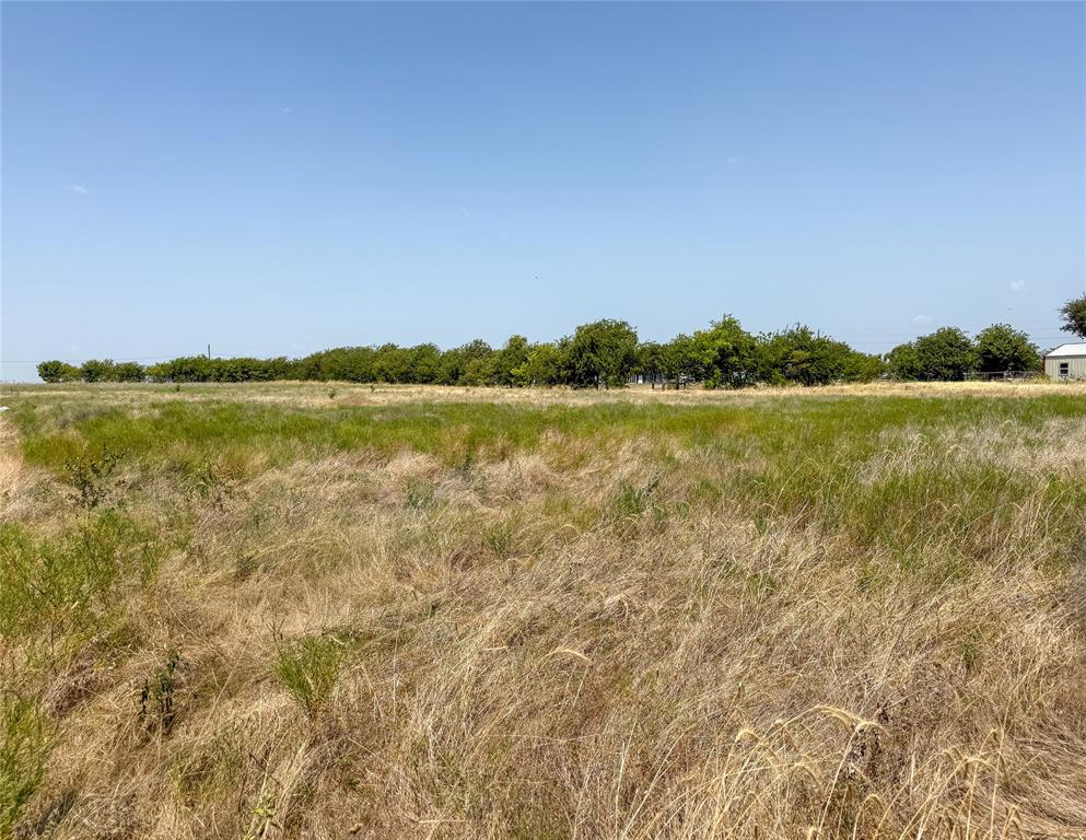 10041 County Road 1004 Property Photo 2