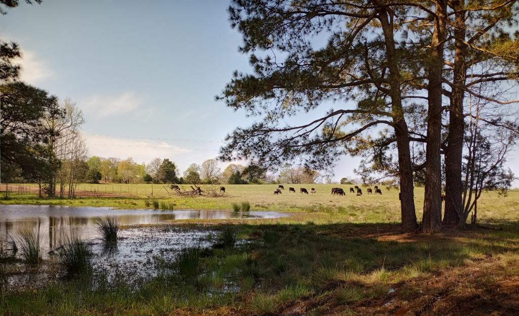 6888 Fm 2888 Property Photo 39