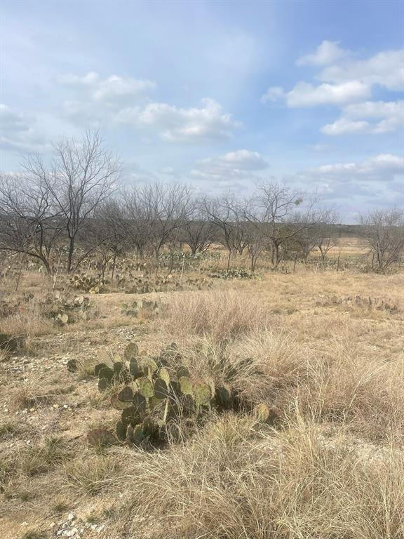Tbd County Road 221 Property Photo 1