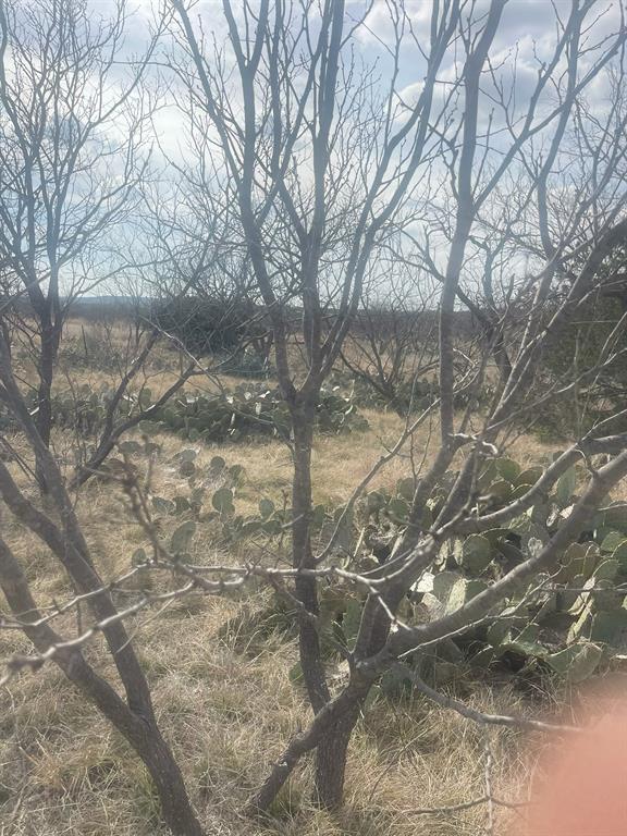 Tbd County Road 221 Property Photo 2