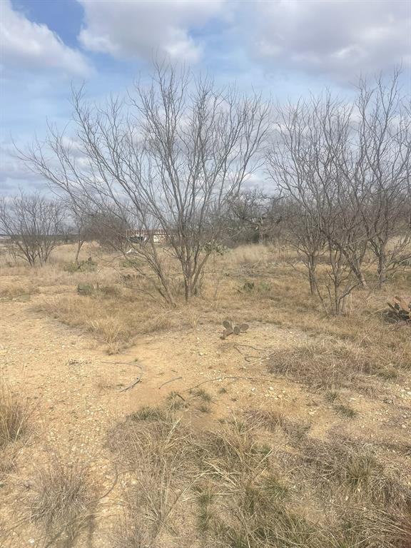 Tbd County Road 221 Property Photo 3