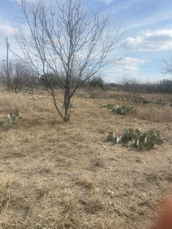 Tbd County Road 221 Property Photo 4