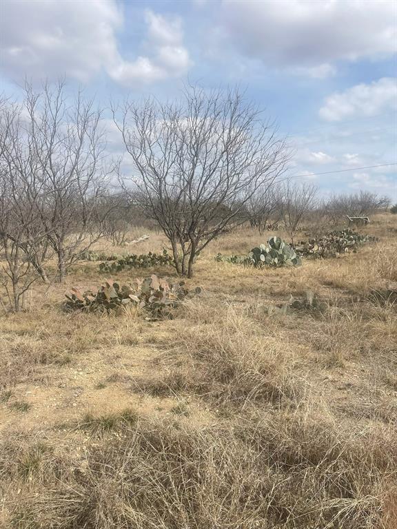 Tbd County Road 221 Property Photo 5