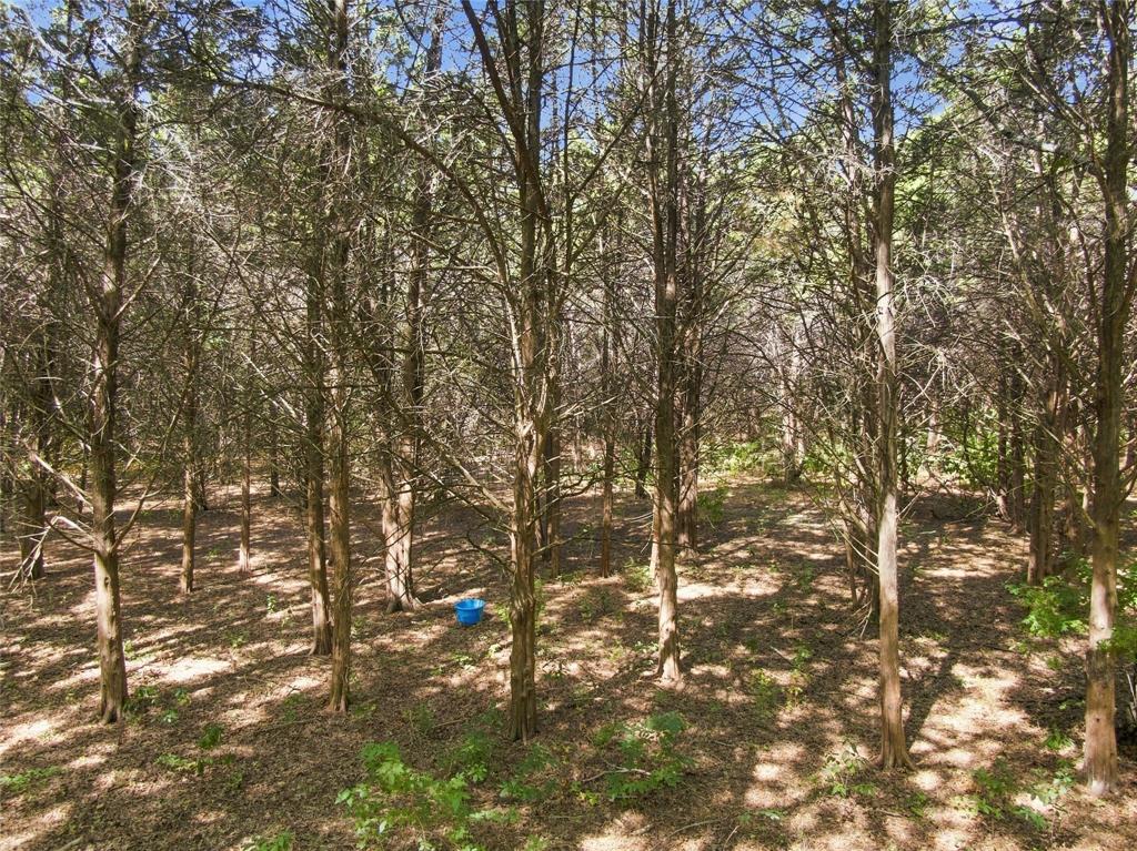 7831 Clark Court Property Photo 24