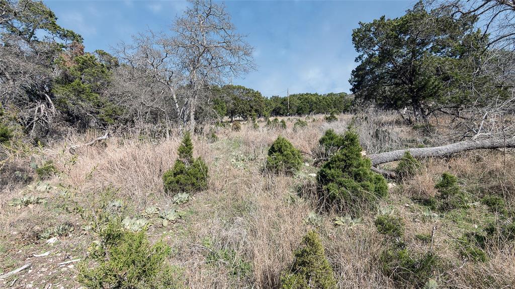 16089 Charlya Drive Property Photo 10