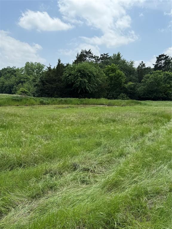 Tbd2 N Fm 730 Property Photo 5