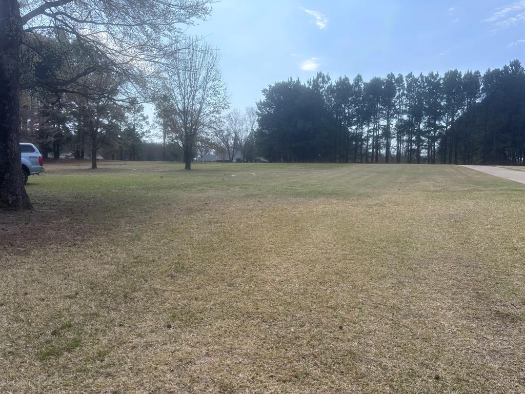 Tbd Cr 1503 Property Photo 2