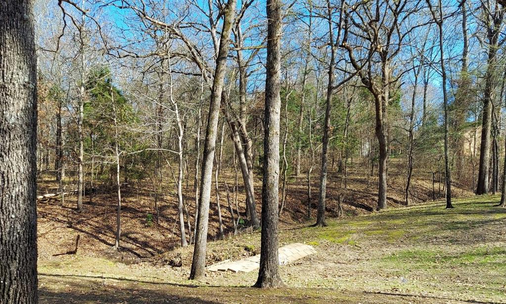 Tbd Cr 1503 Property Photo 3