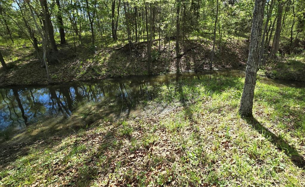Tbd Cr 1503 Property Photo 4